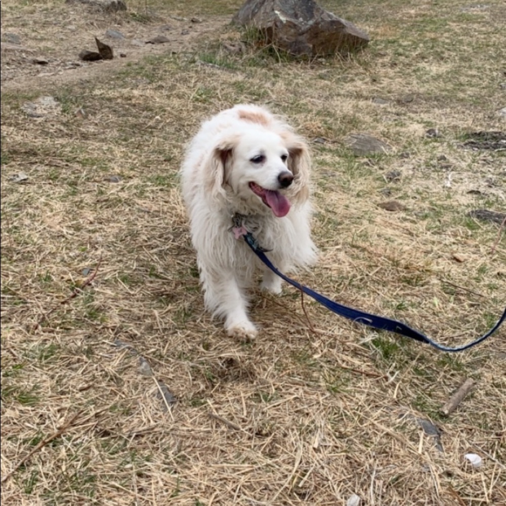 Meet your Posher, Michelle